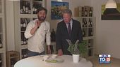 Gusto verde -  Risotto alle erbette di campo spontanee