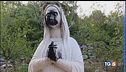 Medjugorje profanata fermato un sospettato