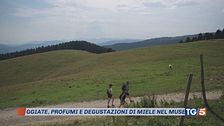 Tra dolci montagne, mare e stelle cadenti