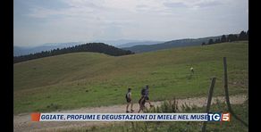 Tra dolci montagne, mare e stelle cadenti