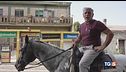 Benzina alle stelle, la soluzione è il cavallo