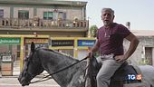 Benzina alle stelle, la soluzione è il cavallo