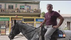 Benzina alle stelle, la soluzione è il cavallo