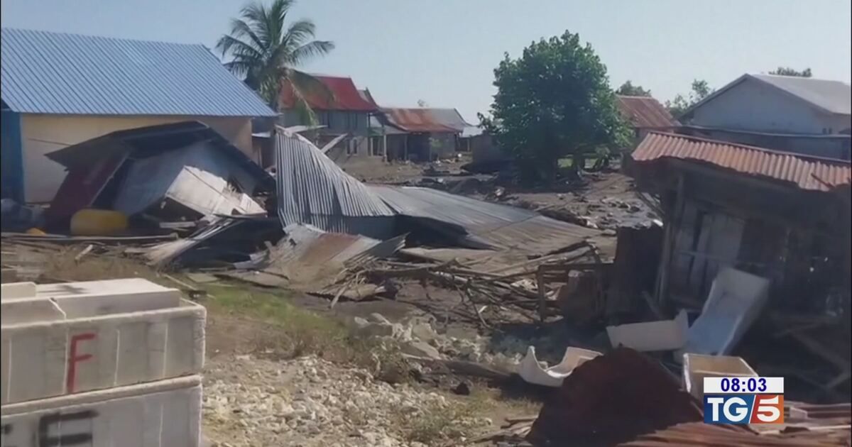 TG5: Terremoto in Indonesia, italiani tutti salvi Video | Mediaset Infinity