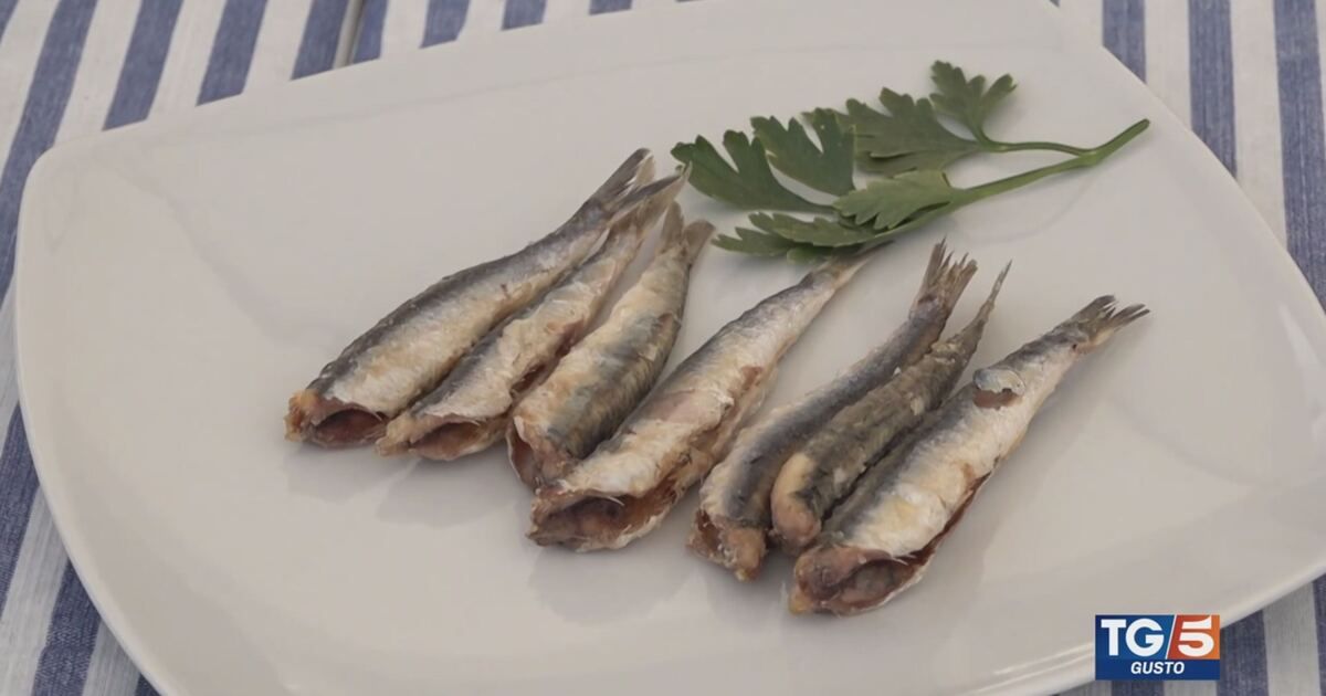 TG5: Frittura di alici Video | Mediaset Infinity