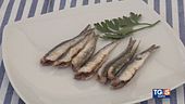Frittura di alici