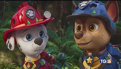 I PAW Patrol tornano al cinema