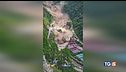Catastrofe Nepal danni miliardari