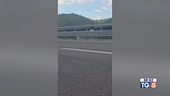 Il dramma sul viadotto dopo l'omicidio dell'ex