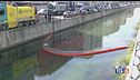 Dal Naviglio ai mari, è emergenza ambientale