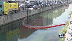 Dal Naviglio ai mari, è emergenza ambientale