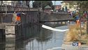 Gasolio nel Naviglio, possibile atto doloso