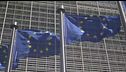 AFD preoccupa l'Ue la politica si divide