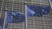 AFD preoccupa l'Ue la politica si divide