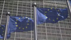 AFD preoccupa l'Ue la politica si divide