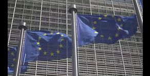 AFD preoccupa l'Ue la politica si divide