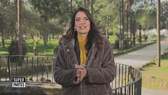 Puntata del 25 gennaio, Canale 5