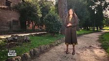 Puntata del 25 ottobre, Canale 5
