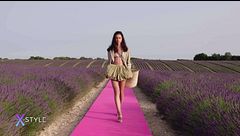 Lo stile del pic-nic