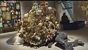 In Minor Keys: l'esibizione di Koyo Kouoh alla Biennale di Venezia 2026