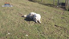 Puntata del 25 gennaio