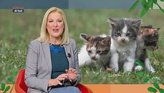 Puntata dell'1 febbraio