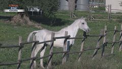 Puntata del 22 febbraio