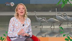 Puntata dell'8 marzo