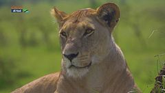 Puntata del 29 marzo