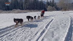 Puntata del 26 aprile