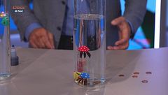 L'angolo della scienza