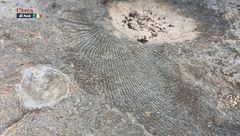 Survival: tracce geologiche