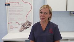 I consigli del veterinario: la patologia artrosica