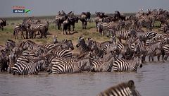 La grande migrazione - terza parte