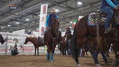 Accavalliamoci: la Fitetrec