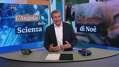 L'angolo della scienza