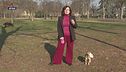 I consigli della pet-sitter
