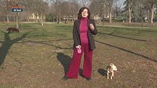 I consigli della pet-sitter