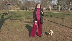 I consigli della pet-sitter