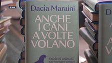 Il Can-piello