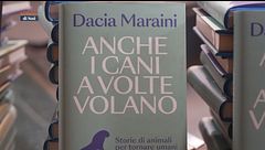 Il Can-piello