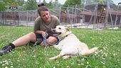 Il Sanpa Dogs a Rimini