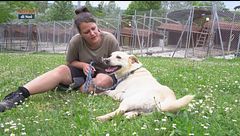 Il Sanpa Dogs a Rimini