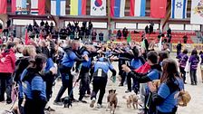 L'Educa-cani