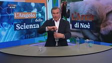 L'angolo della scienza: cambiamenti climatici e anidride carbonica