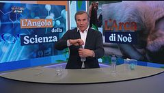 L'angolo della scienza: cambiamenti climatici e anidride carbonica