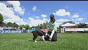 L'Educa-cani: i cani che mordicchiano per gioco