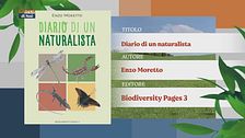 Il Can-piello