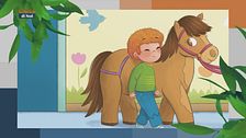 Il Can-piello