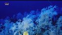 Il racconto del mare